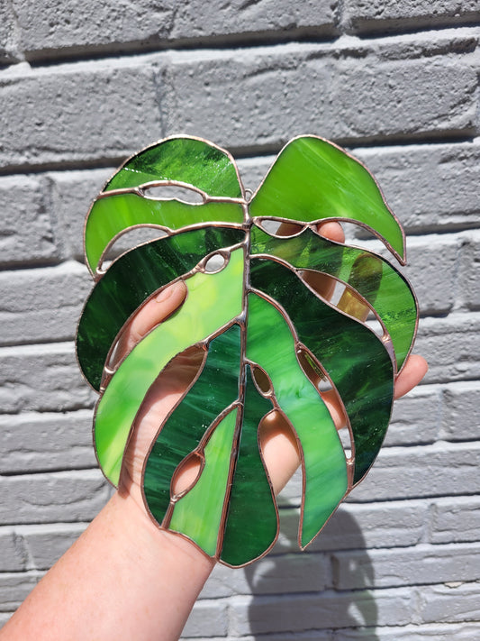 Monstera Leaf