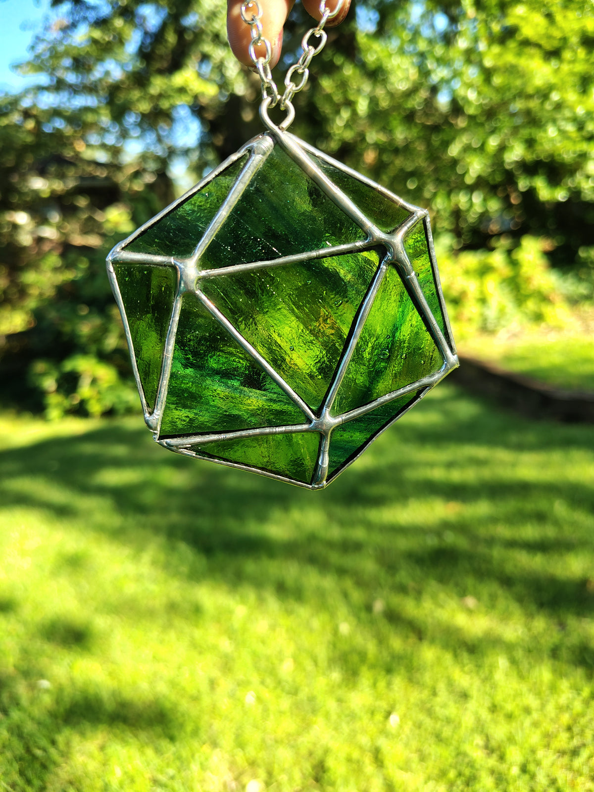 D20