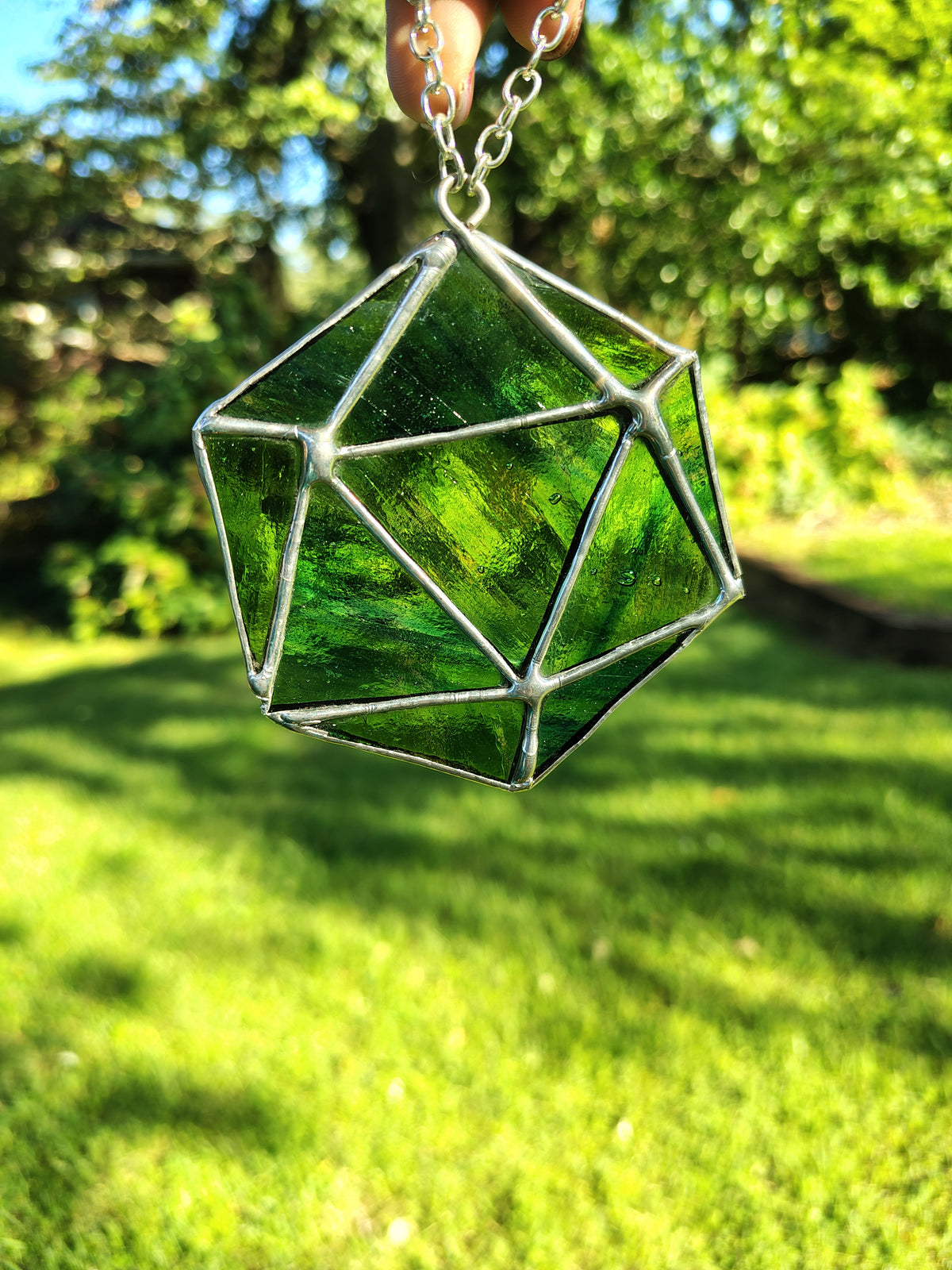 D20