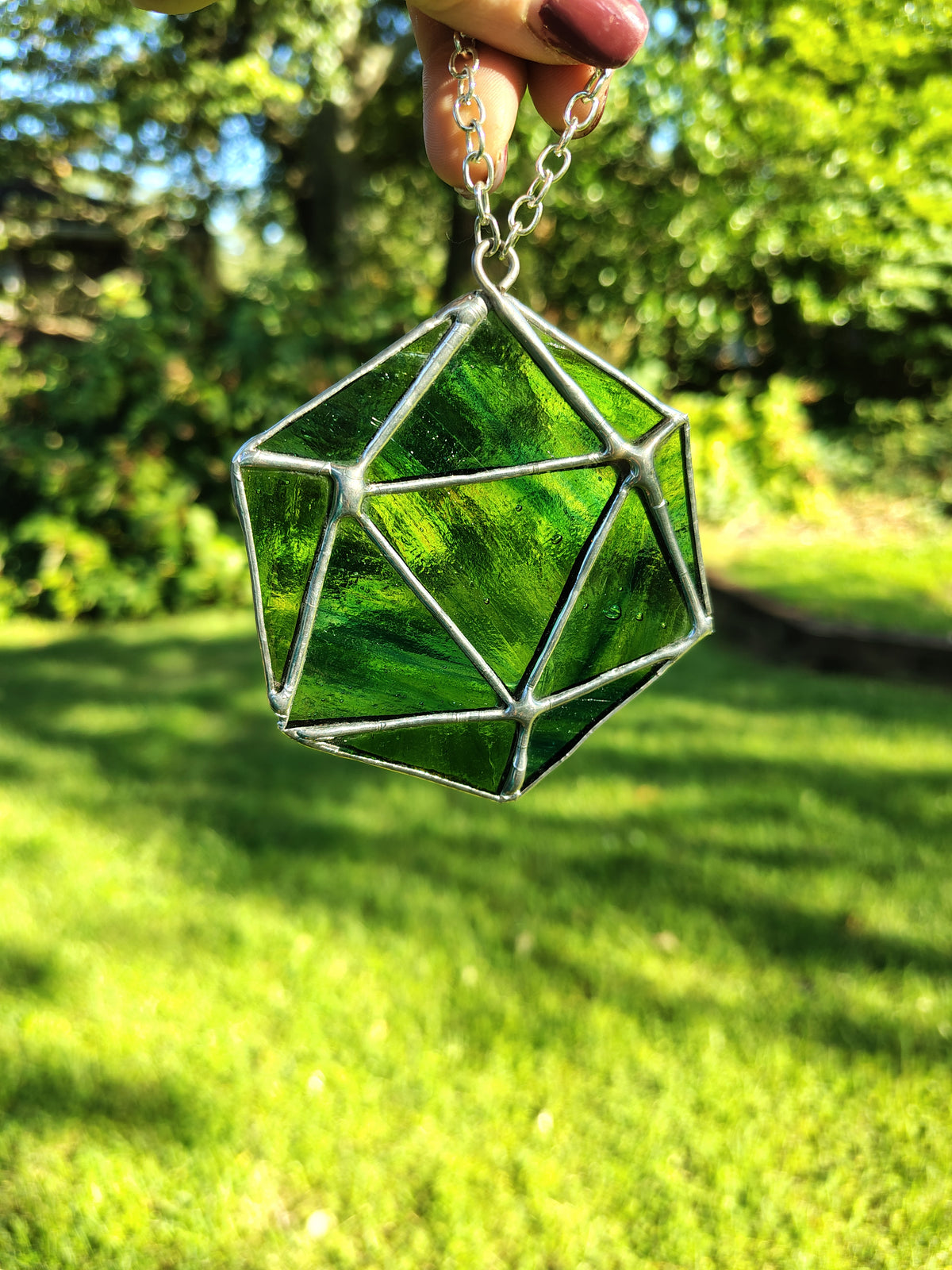 D20