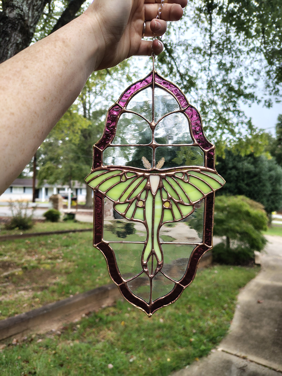 Luna Moth