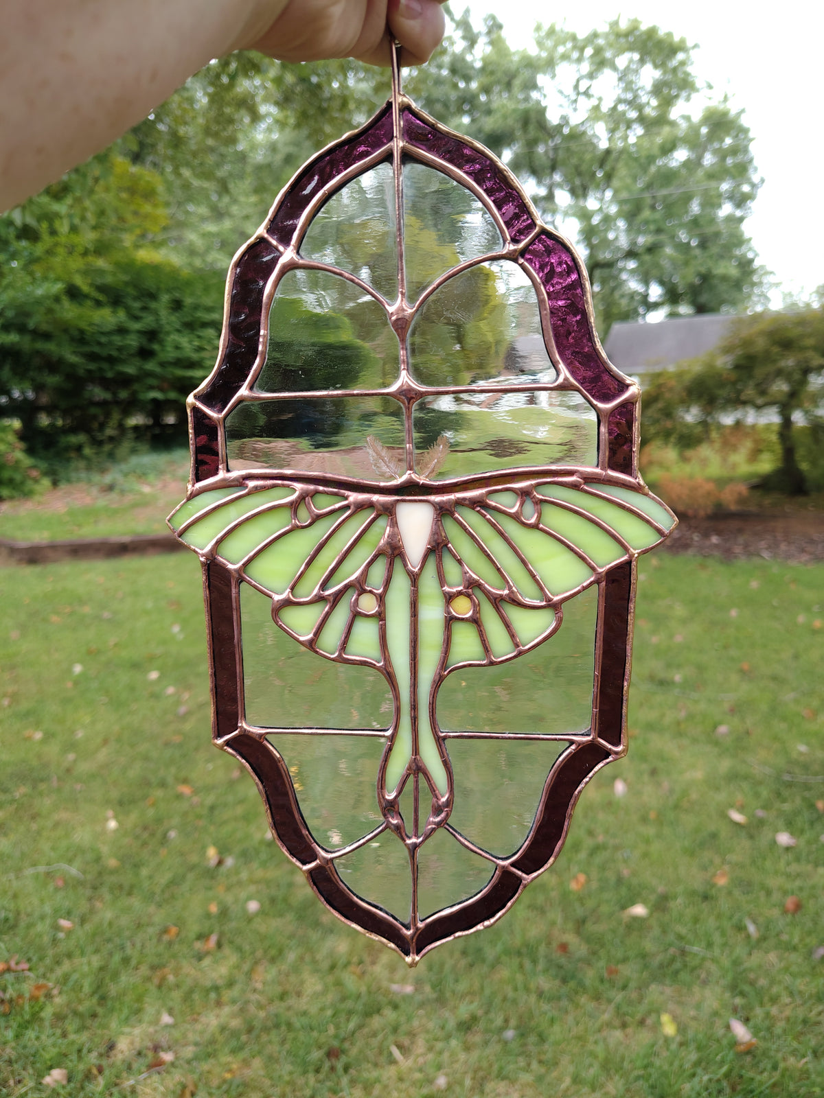 Luna Moth