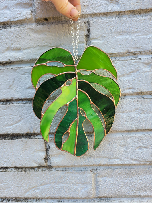 Monstera Leaf
